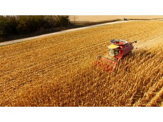 Property photo 5 - LAND AUCTION - 664+/- ACRES OFFERED IN 17 TRACTS IN CASS CO., NEBRASKA